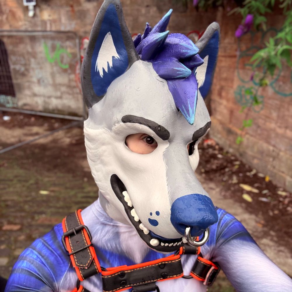 Ninji