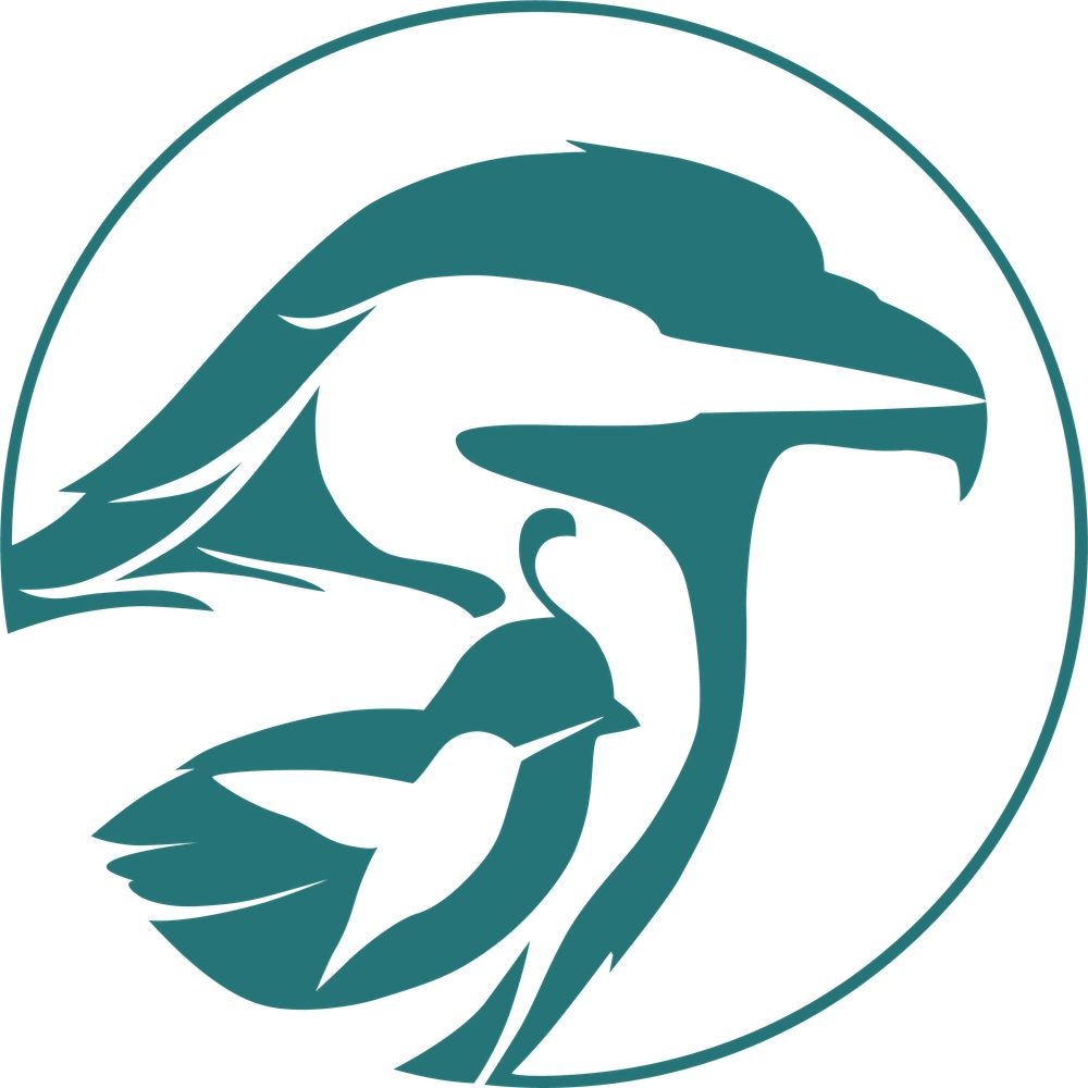 San Diego Bird Alliance