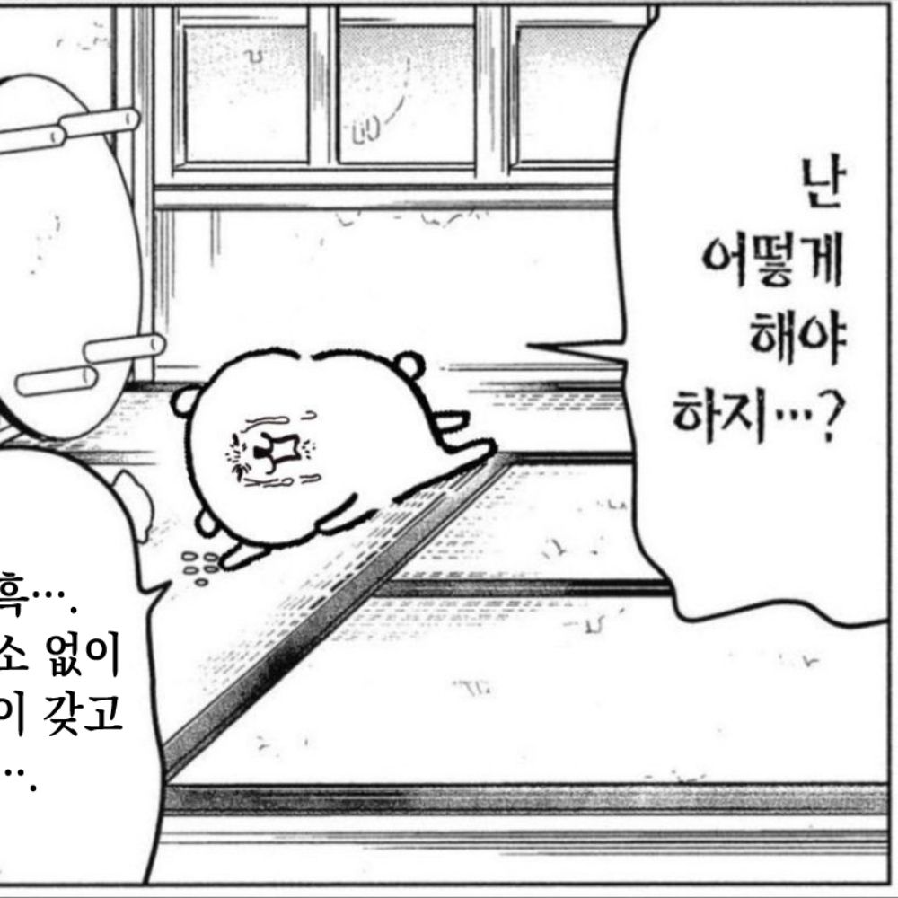 비비