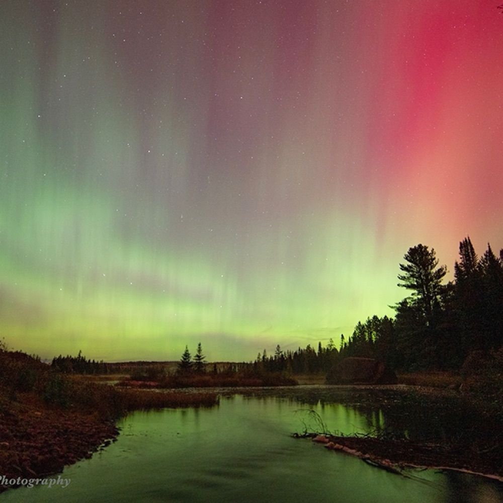 Impressions of Algonquin