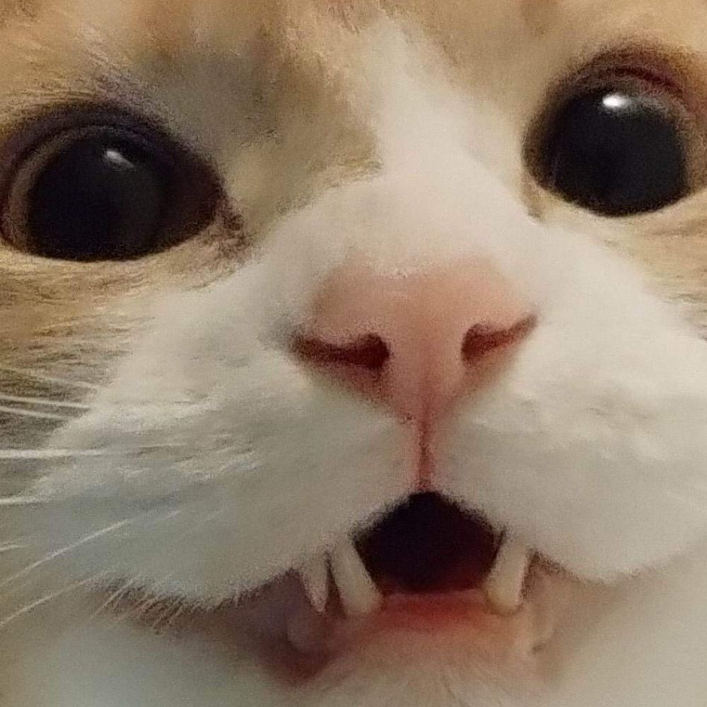 Crunchpuff