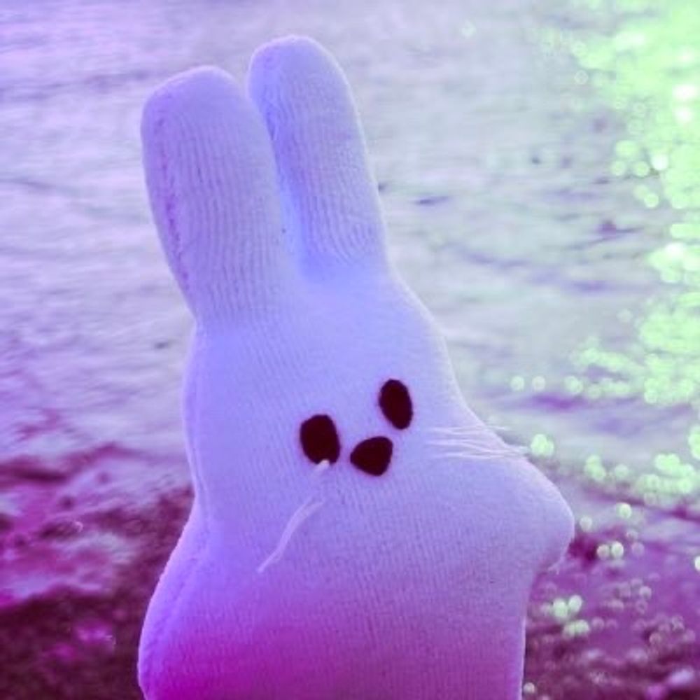 tokki⁷ ˡⁱᵛᵉˢ ʲʰᵒᵖᵉˡʸ now that the days are tinged purple again 💜