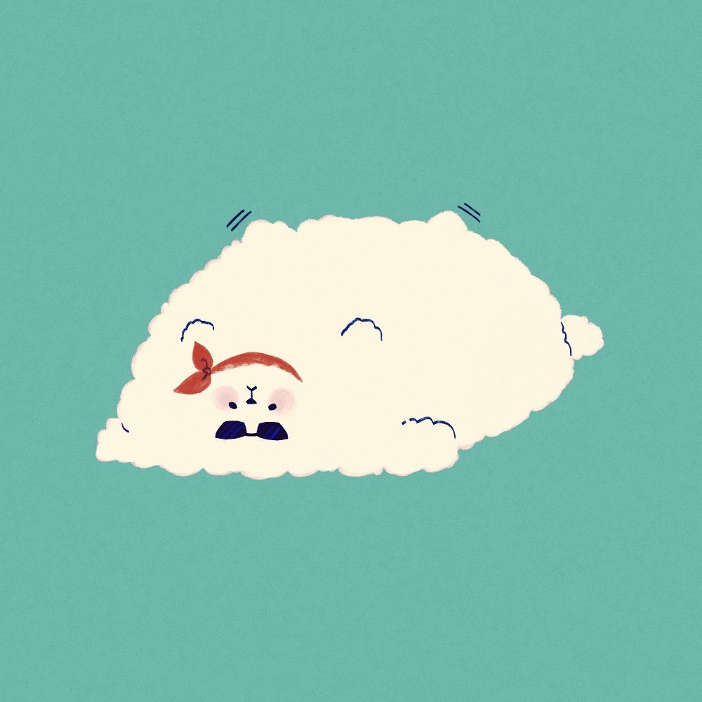 のあけ。