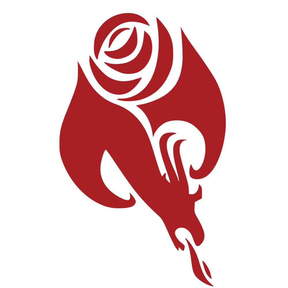 South Jersey DSA