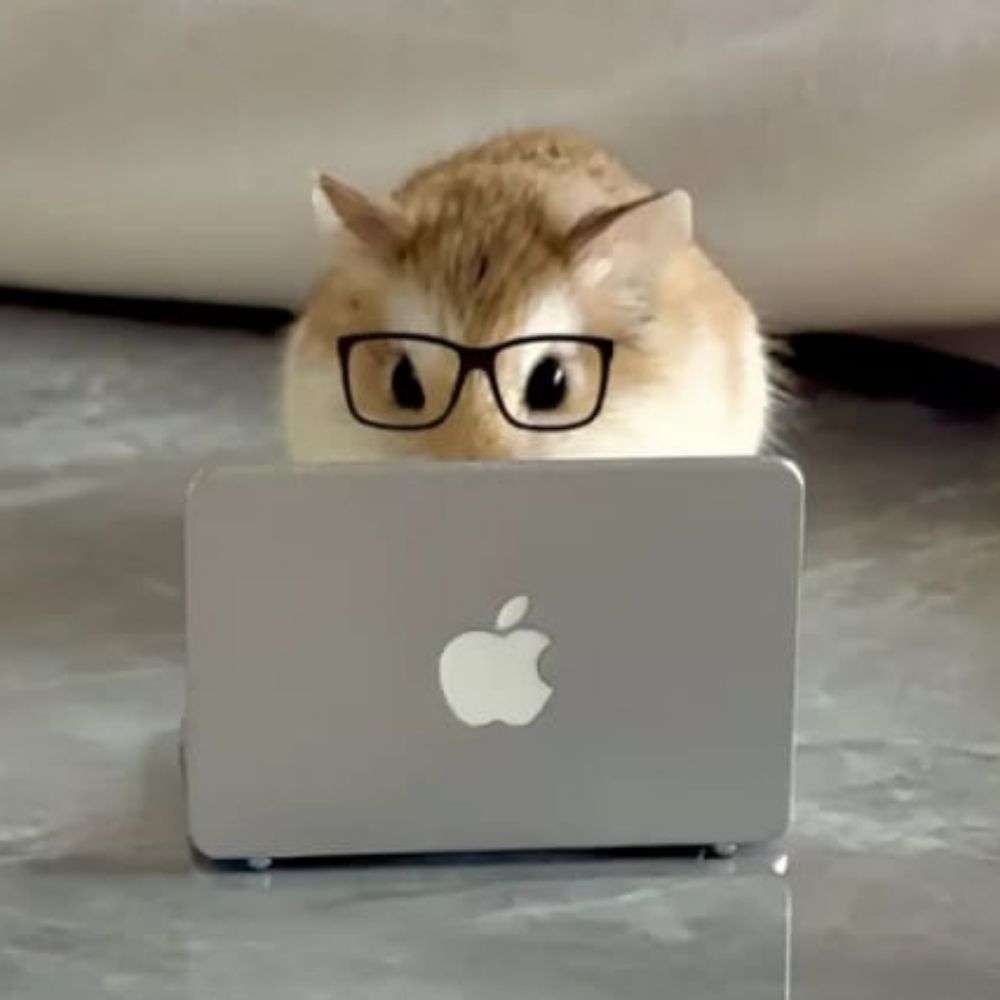 러프