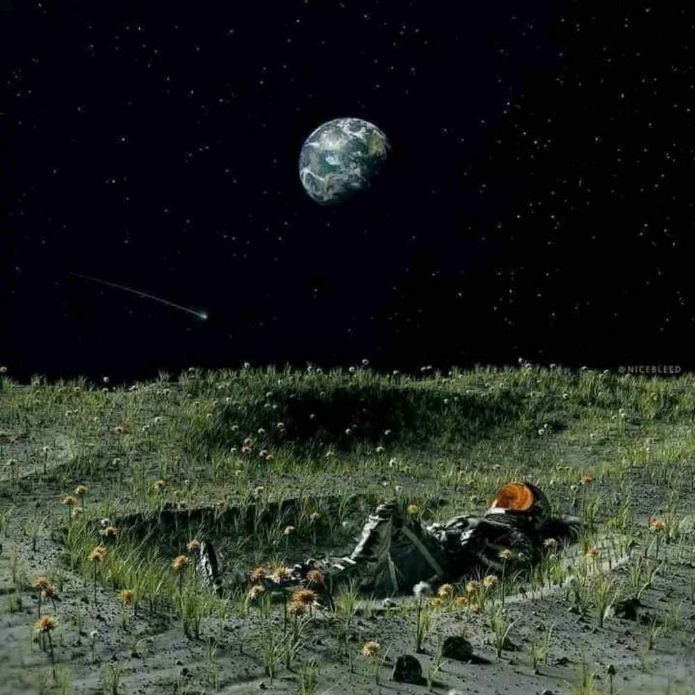 حبیبی