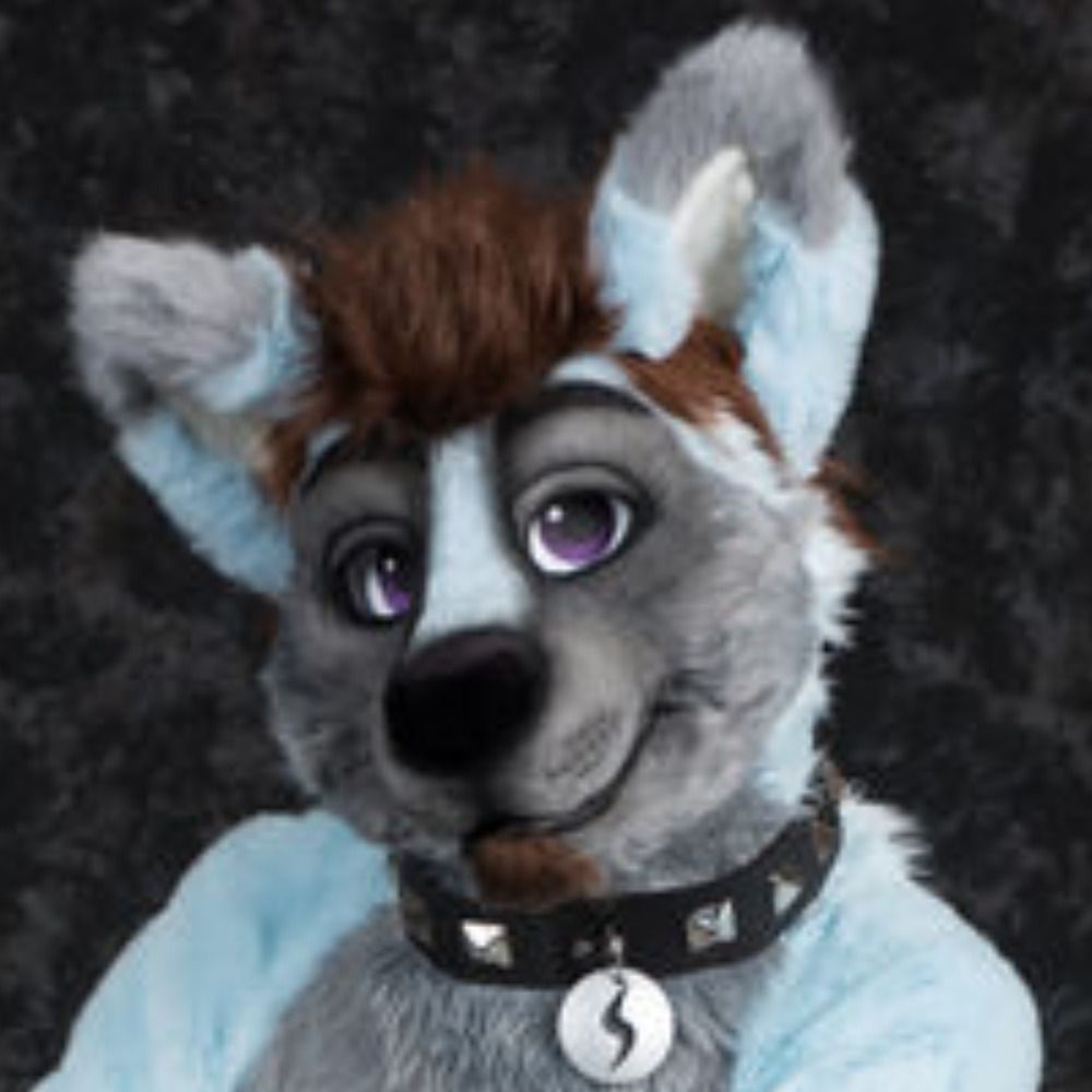 Fawks -Tooling around AC2024's avatar