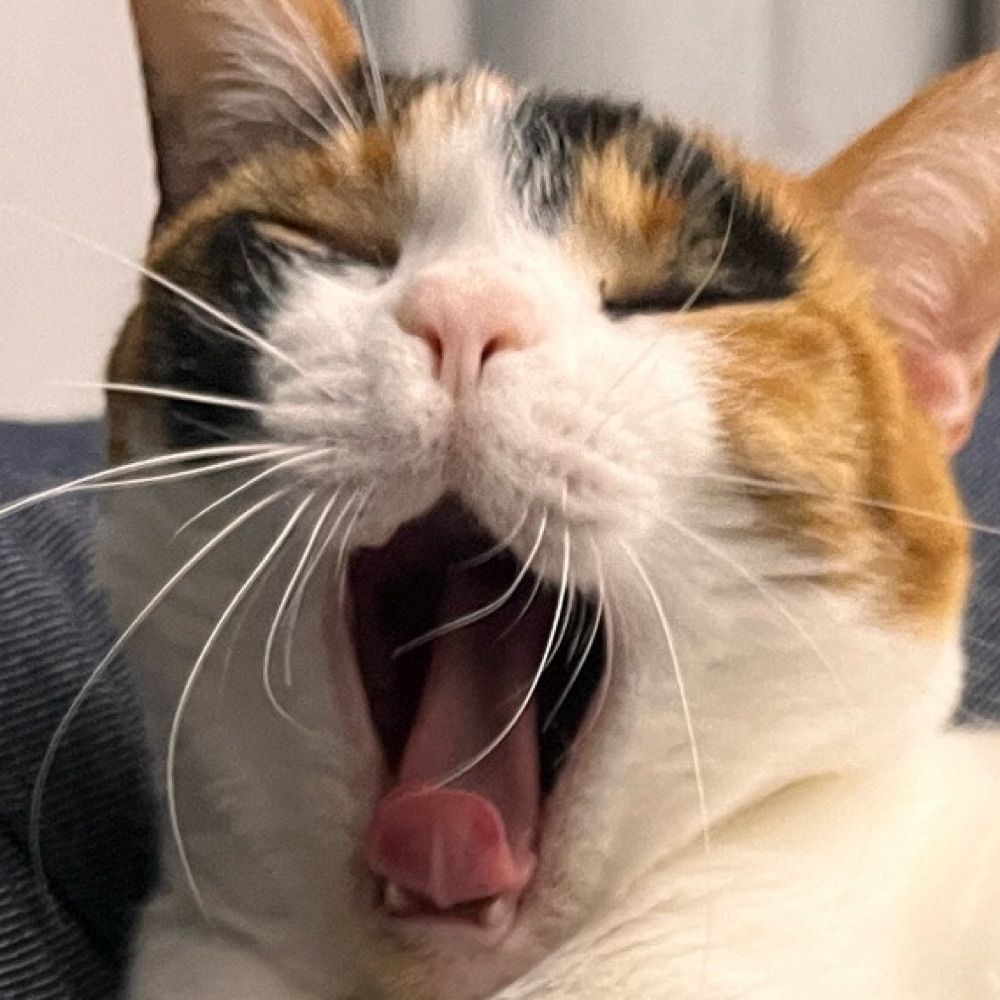 ｹｹﾗﾗ