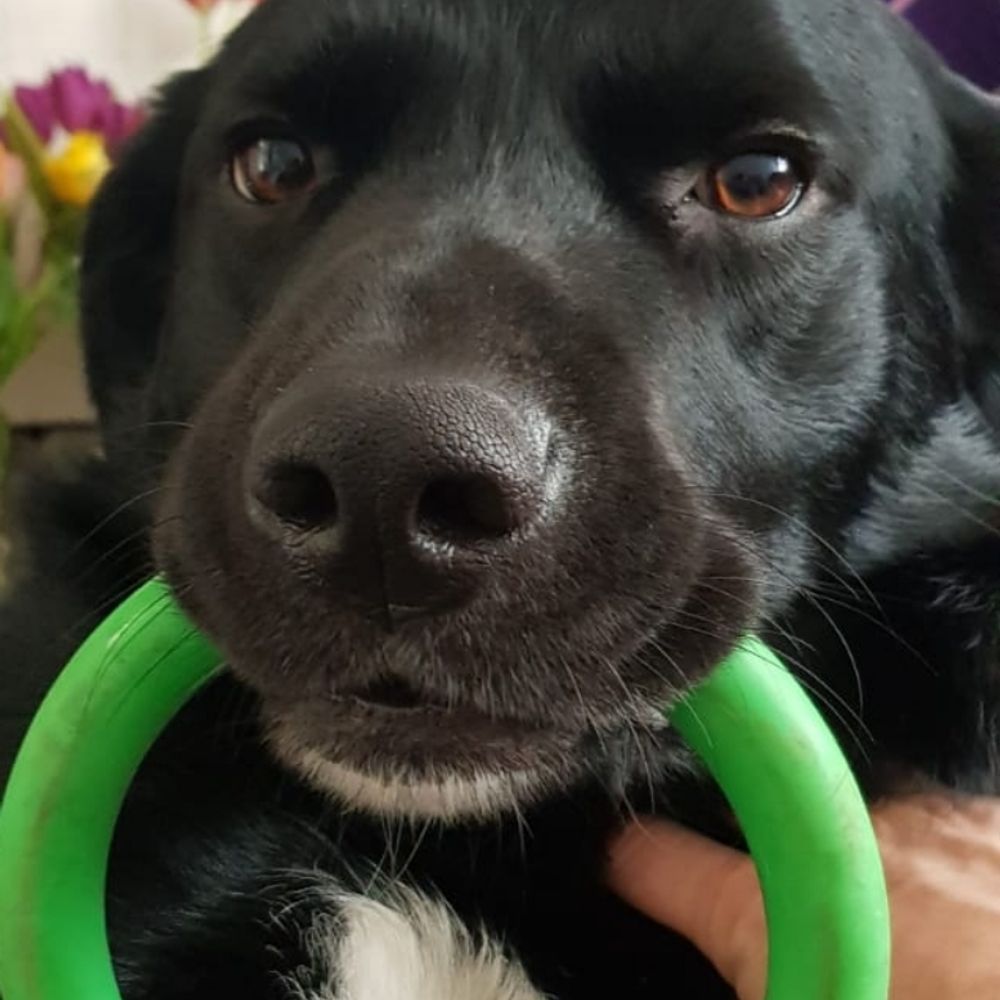 Ben