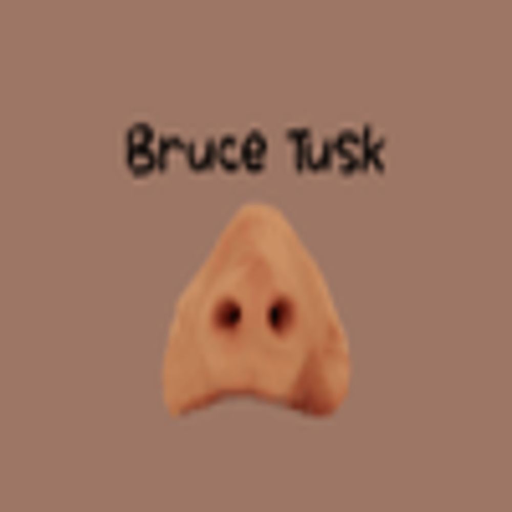 Bruce Tusk