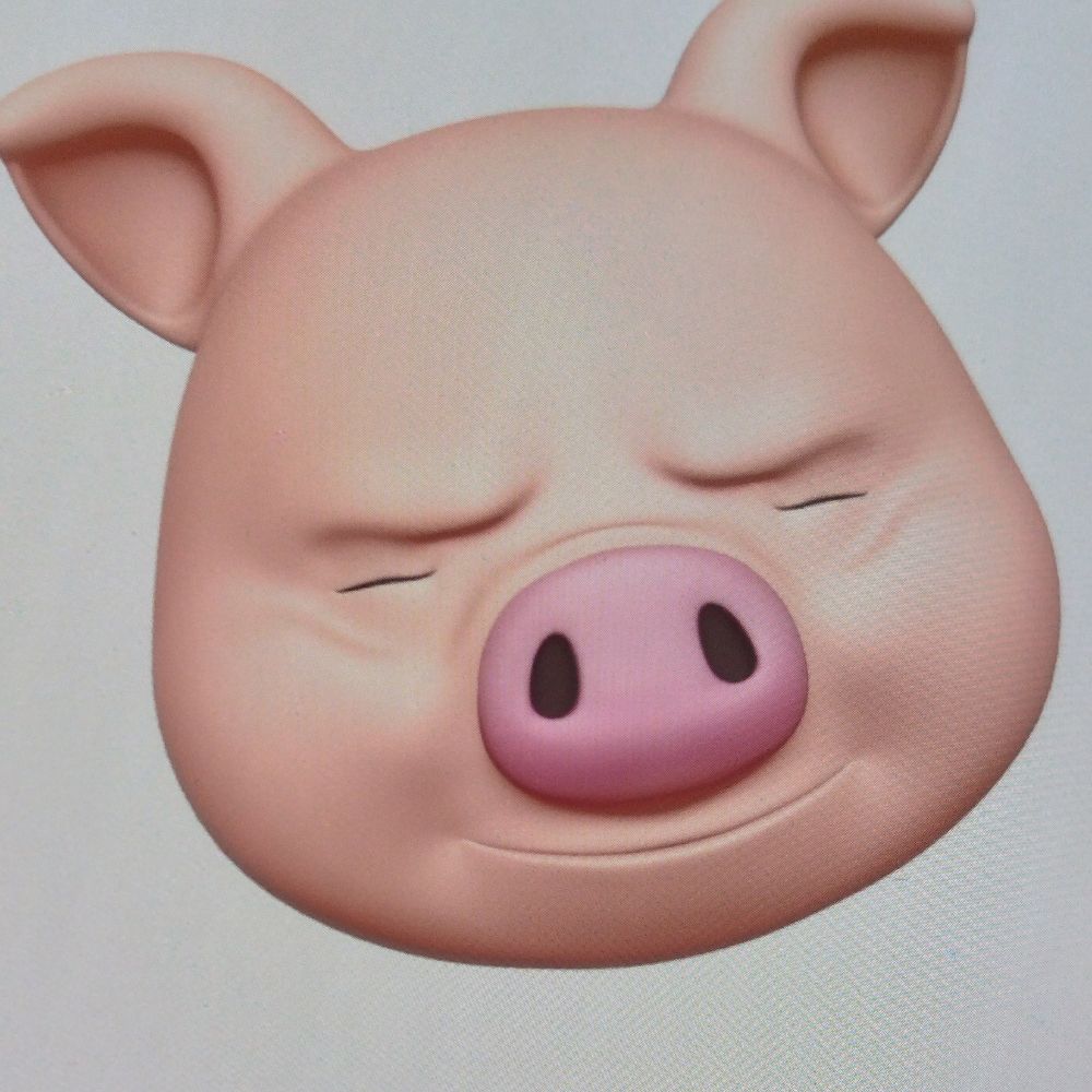 バカカプ信者