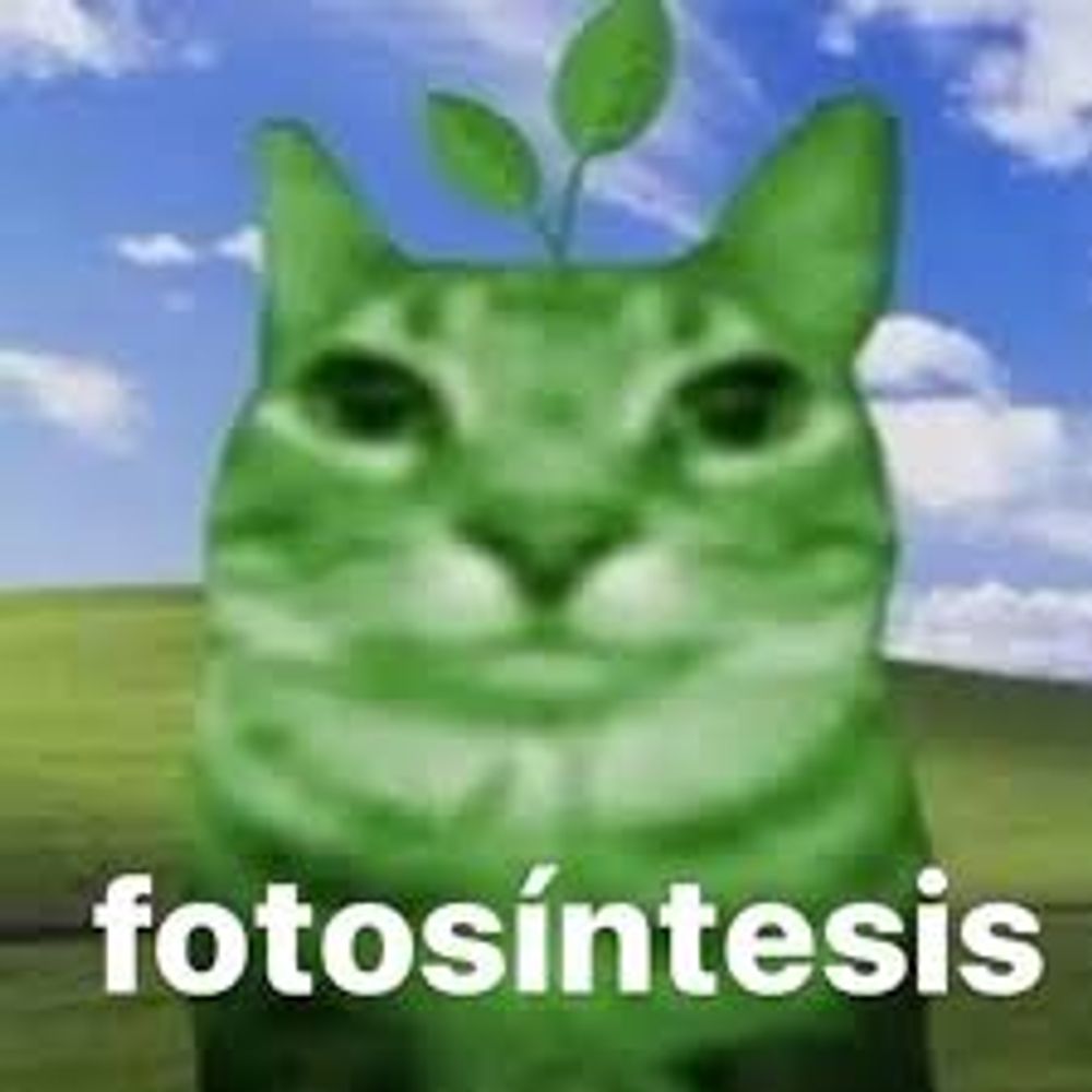 Apenas um Lemon