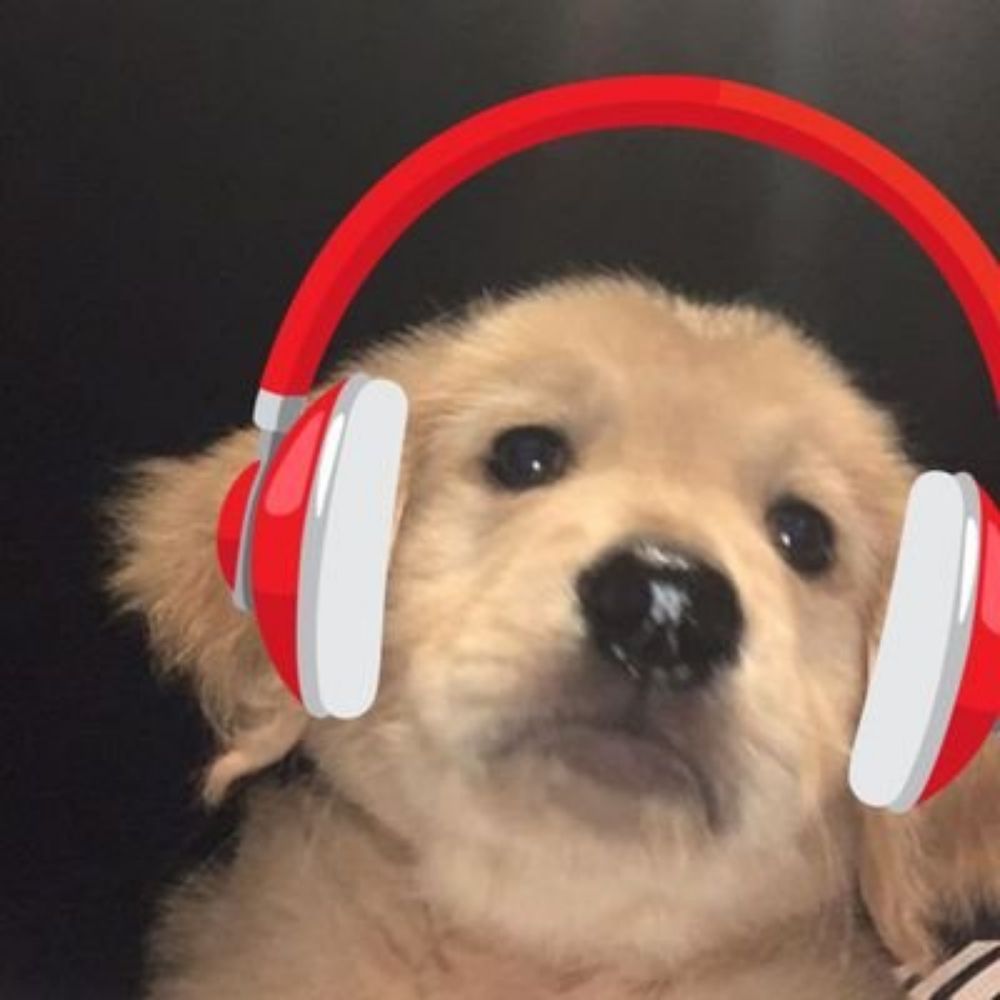 꾜