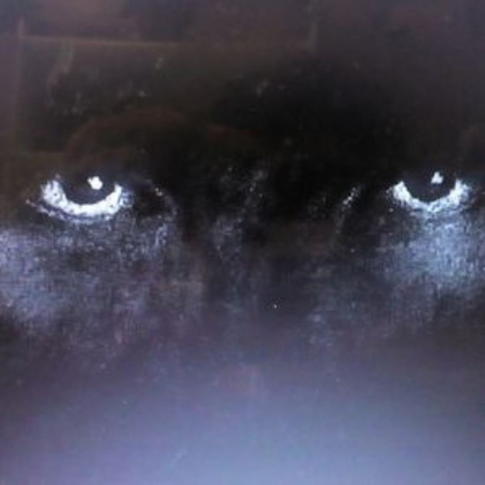 observador