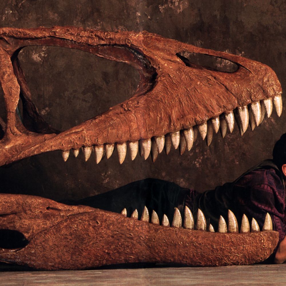 DailyDinos
