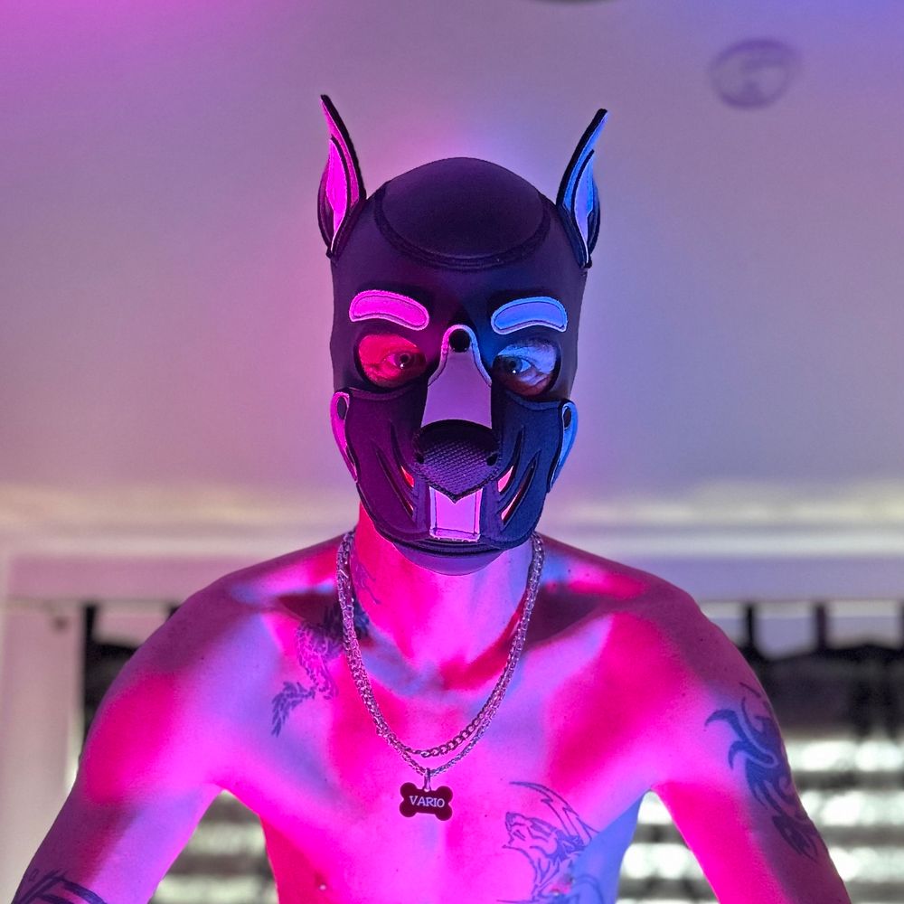 🐾ᴾᵁᴾ ⱽᴬᴿᴵᴼ 🐾