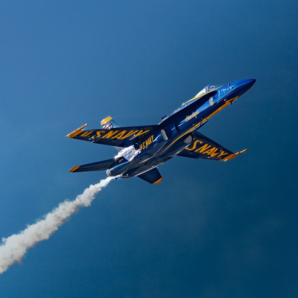 AviatorShots81.art