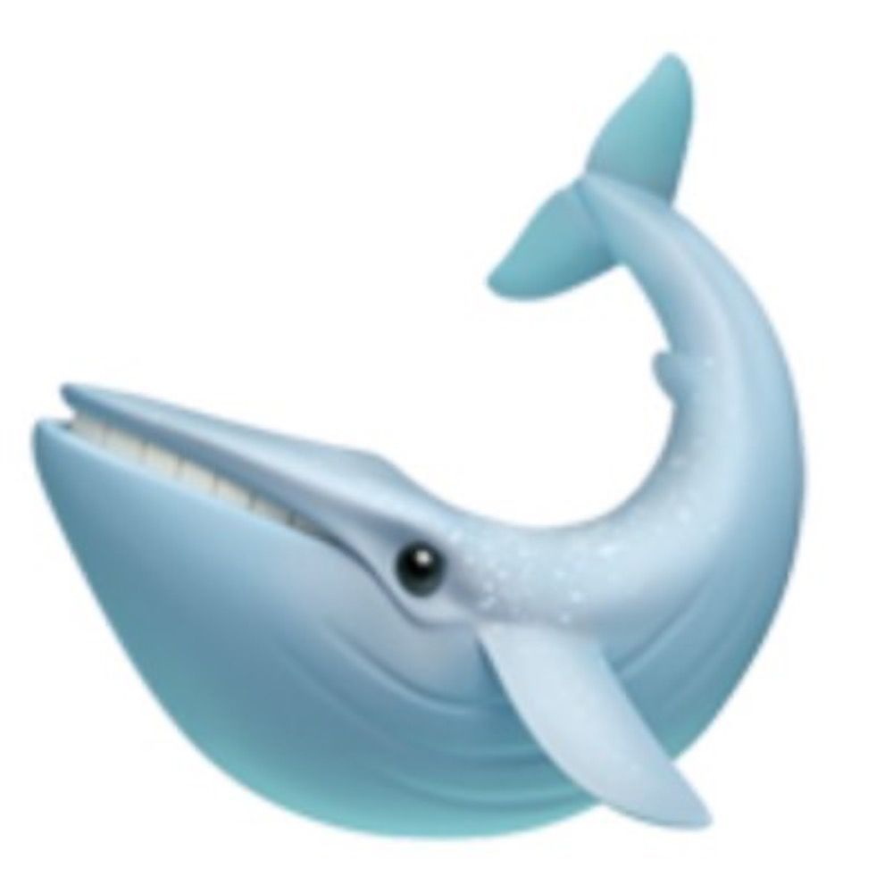 The Whale House
