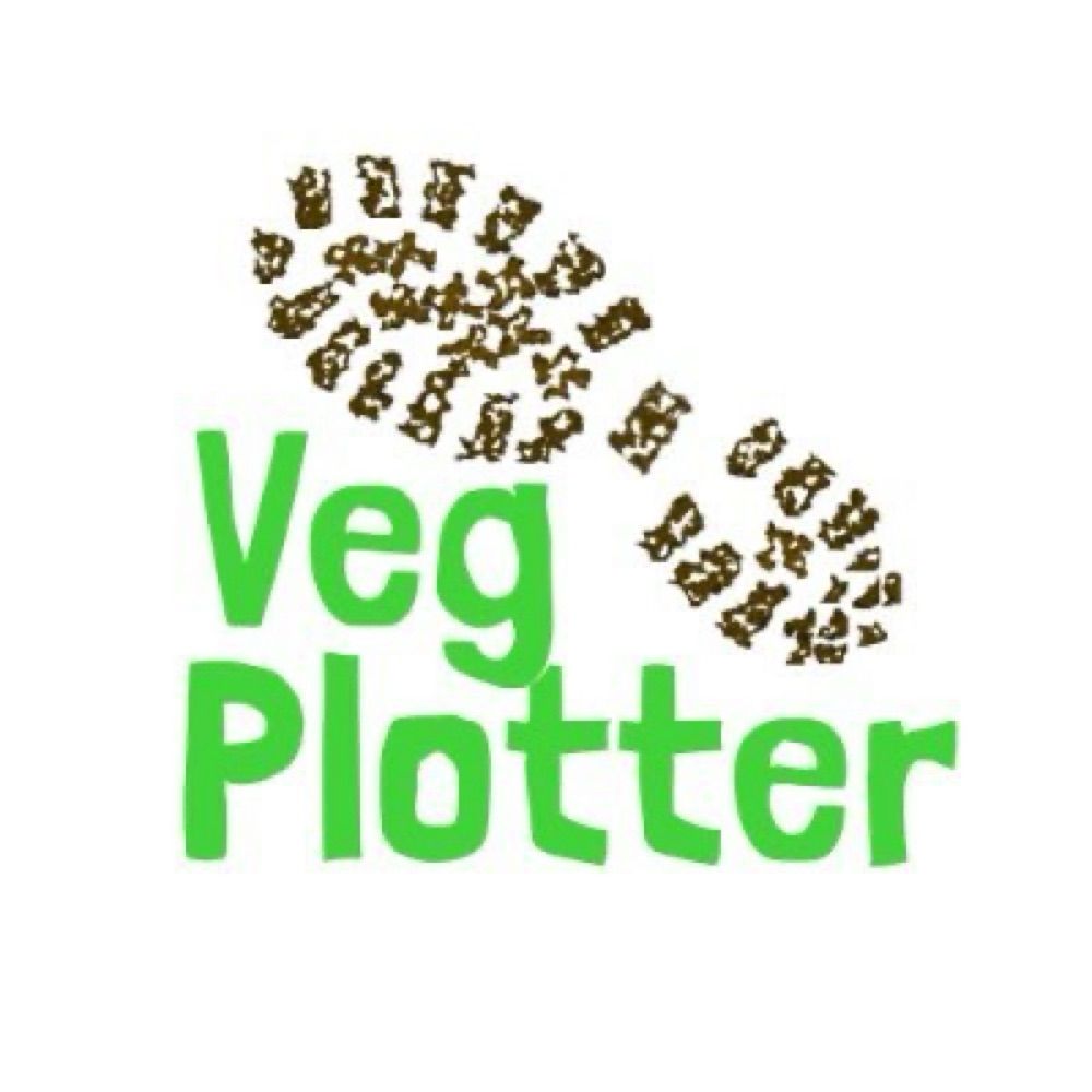 Profile picture vegplotter.bsky.social