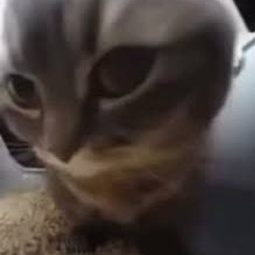 どくじる