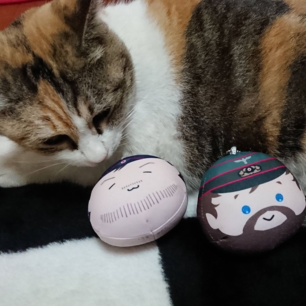 ウメダハル
