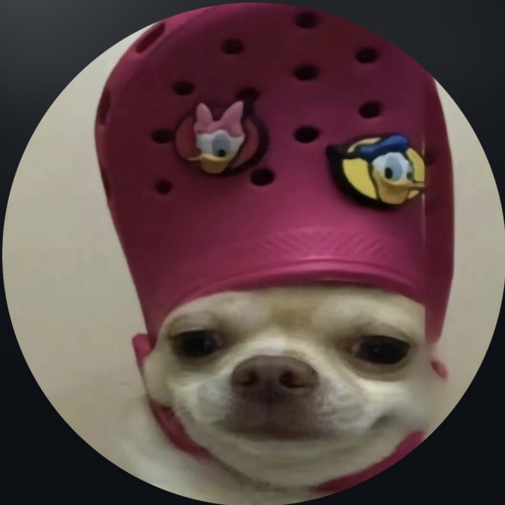 재혅