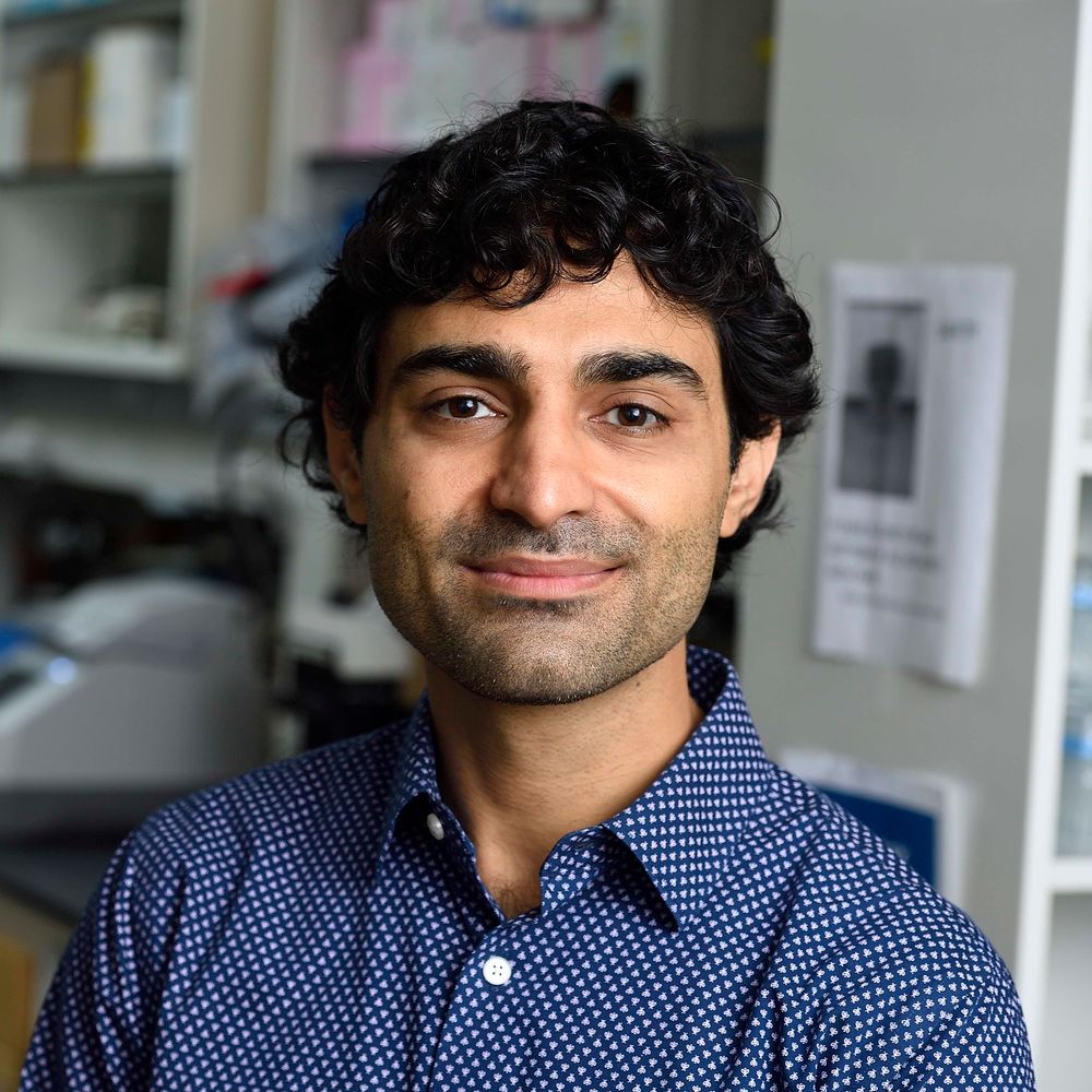 Reza Kalhor