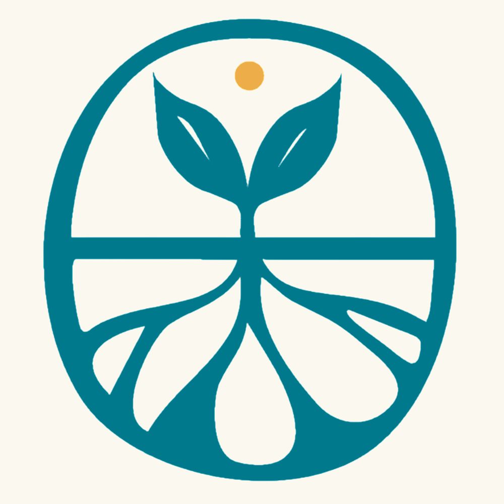 Transition Network International