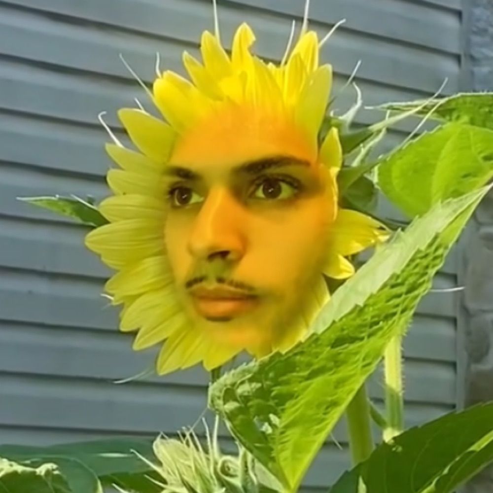 D’Annas Garden