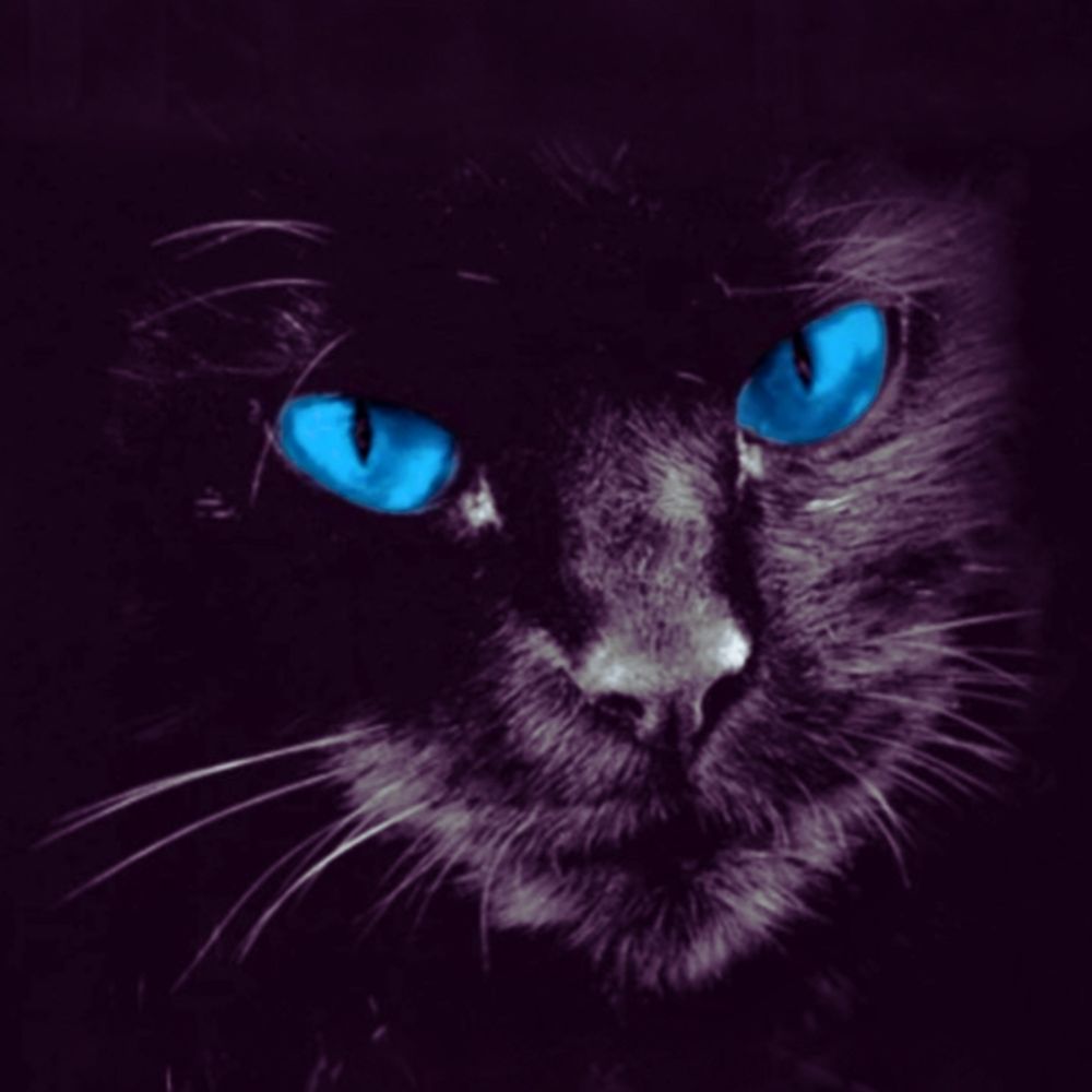 tremor-7.bsky.social profile picture