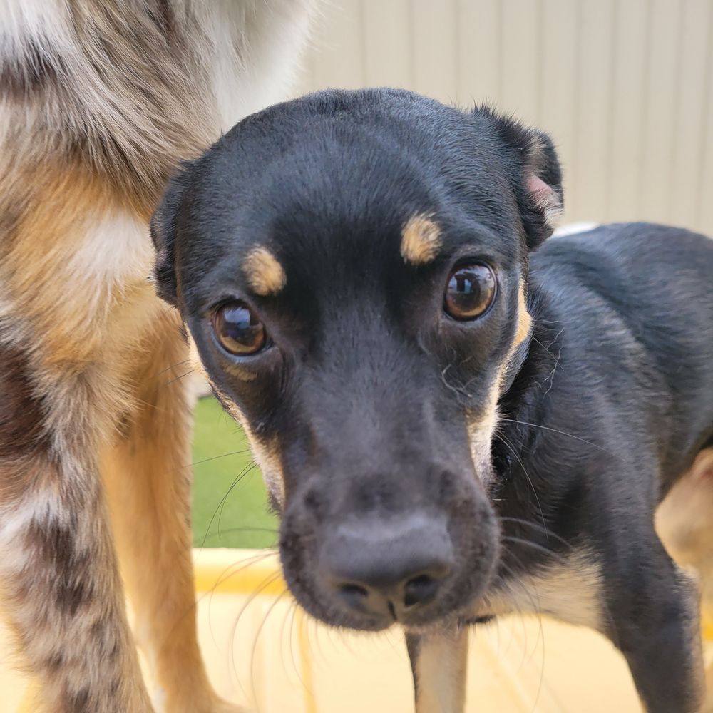 jinxkitty70.bsky.social