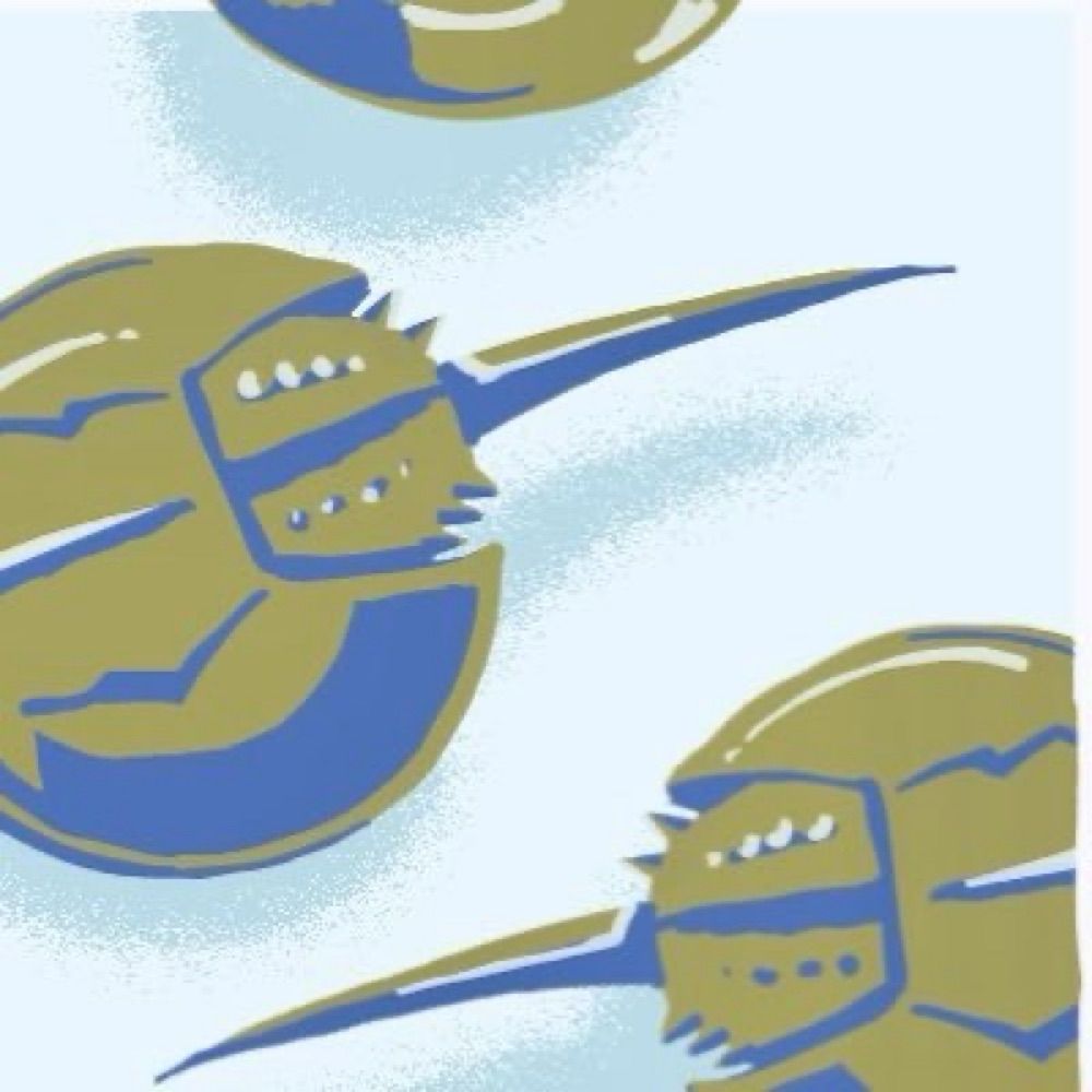 尾崎