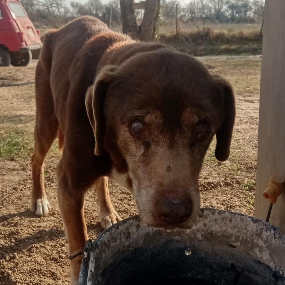 Marcos