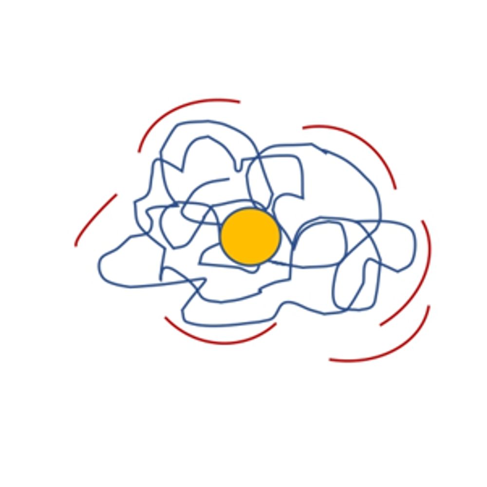 Protein Engineering and Nanomedicine Lab