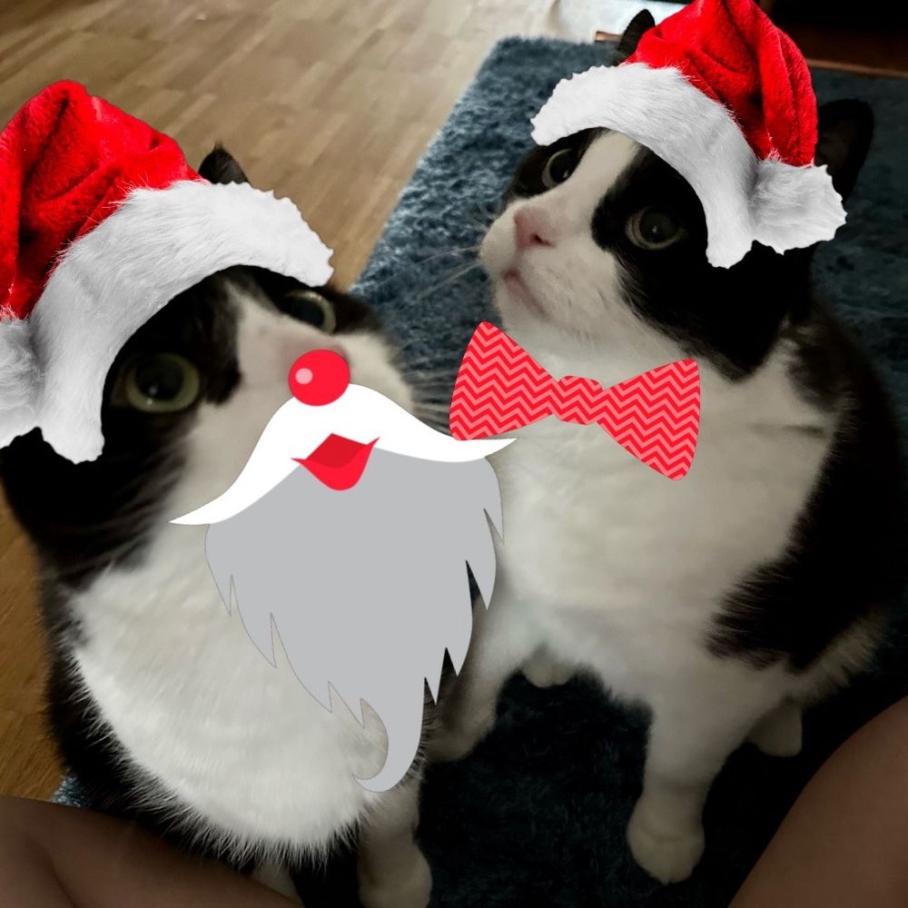 🎄EdMu🎅🏻