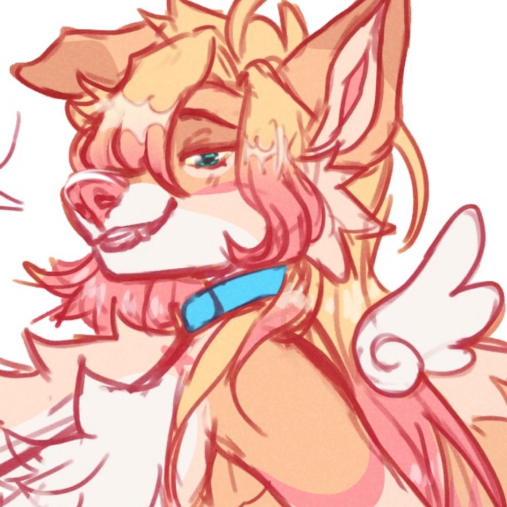 🌸 Mochi 🌸