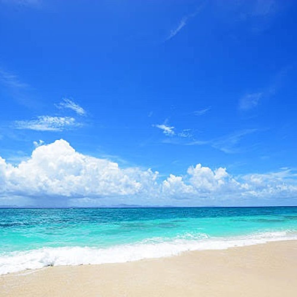 海蛇