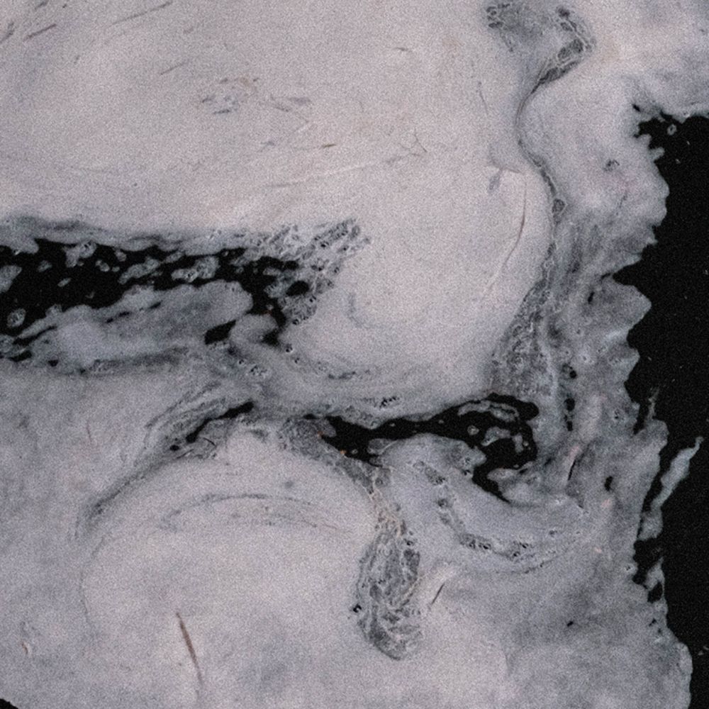 n8