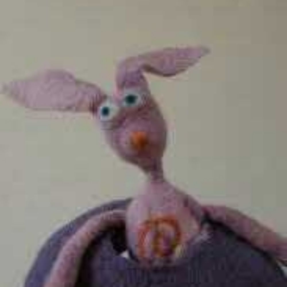 Raymondo Rabbit
