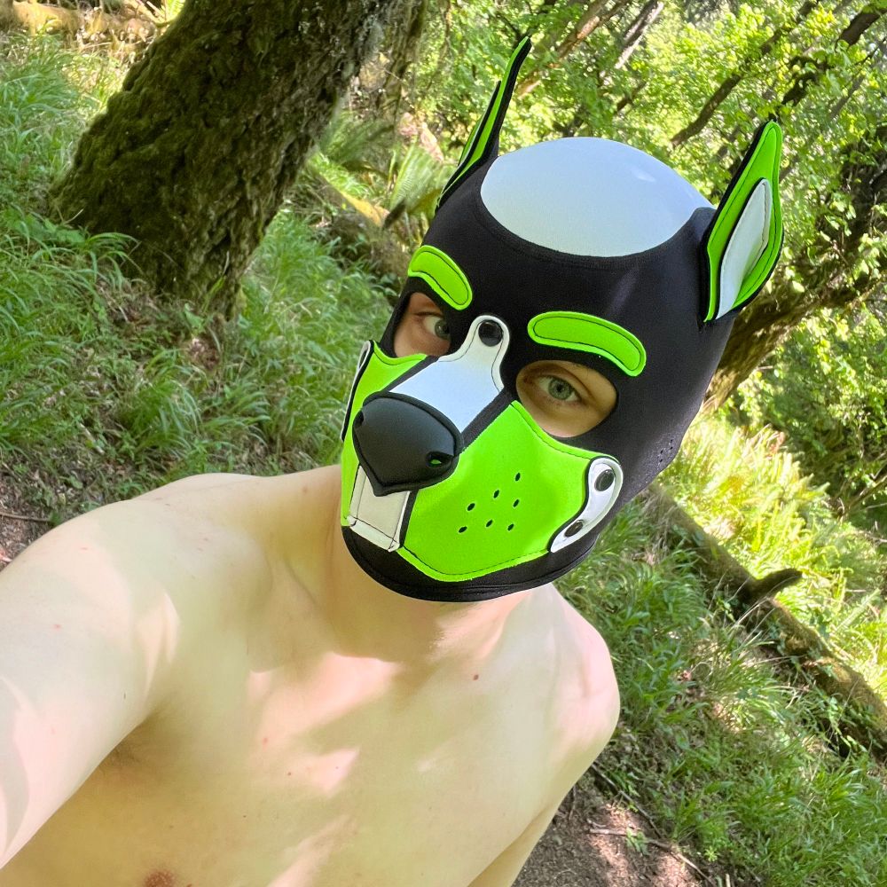 Pup GYRO