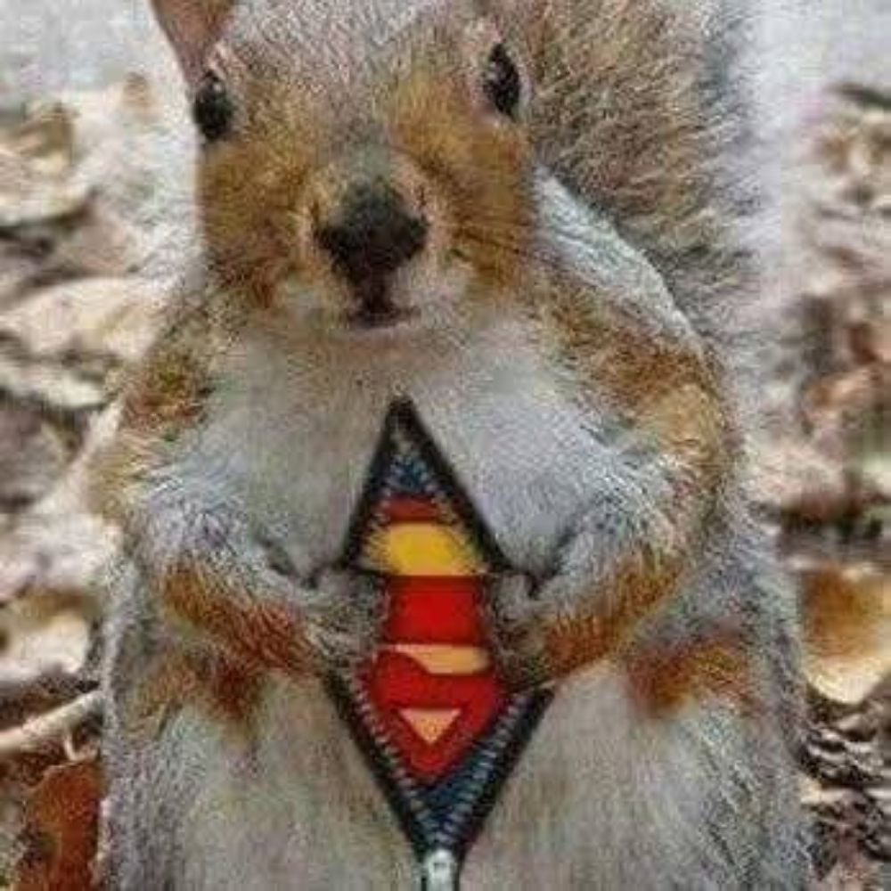 Secret Squirrel