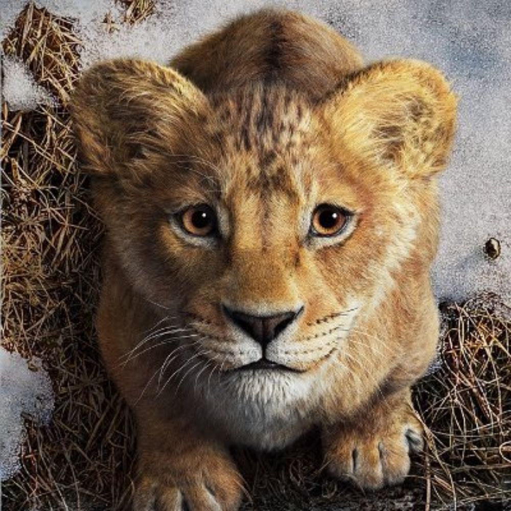 MufasaLionKingCountdown