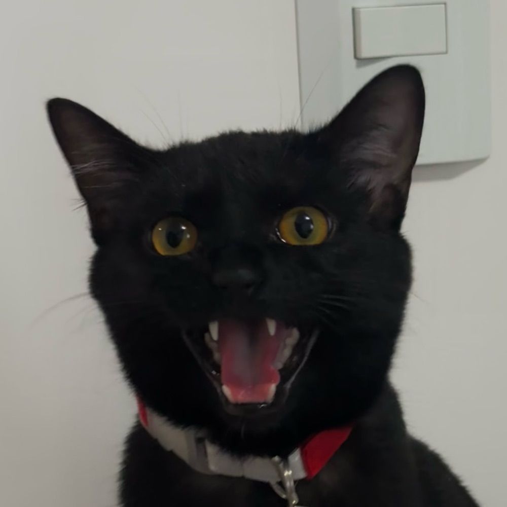 Luca