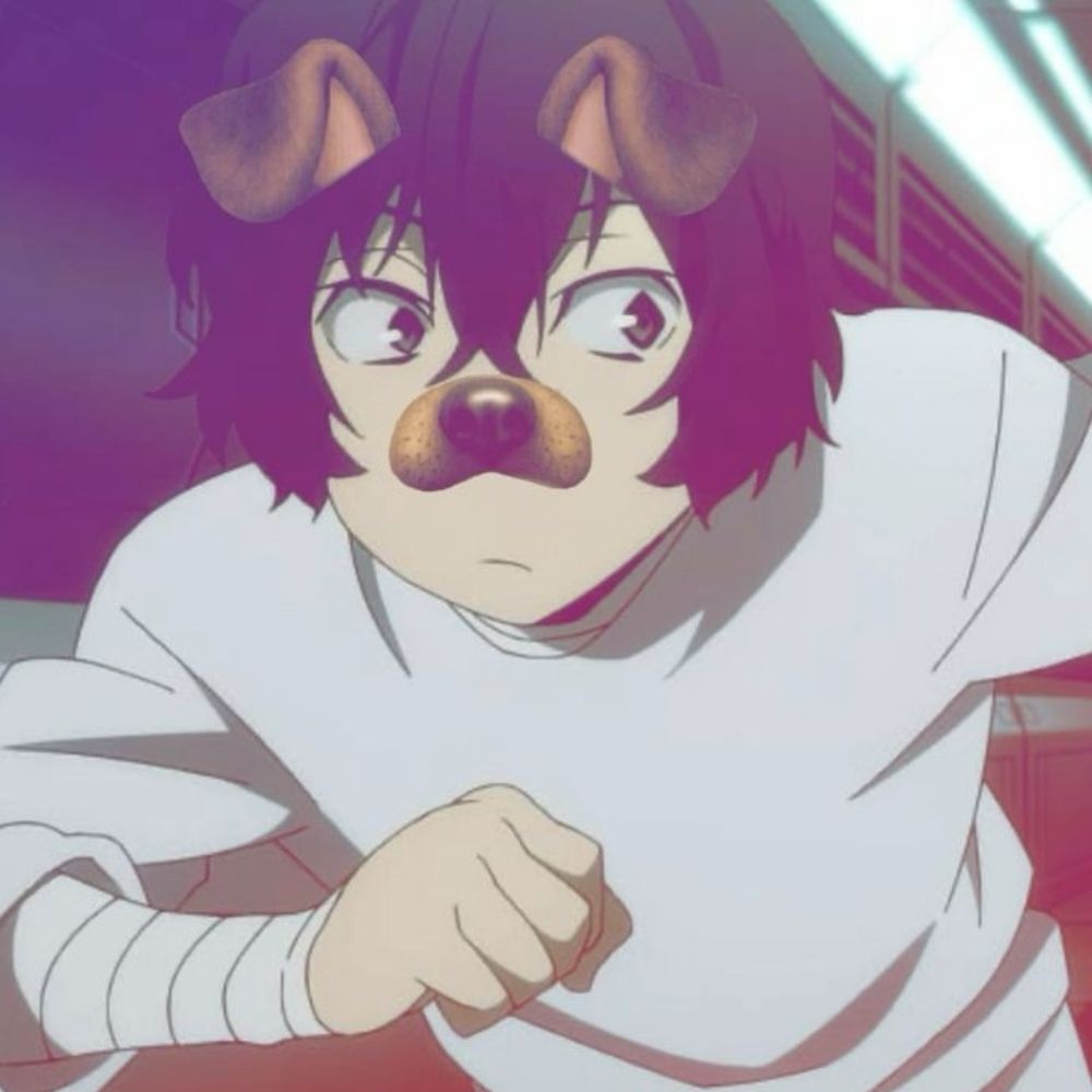 dazai bixa (thales) 🔥
