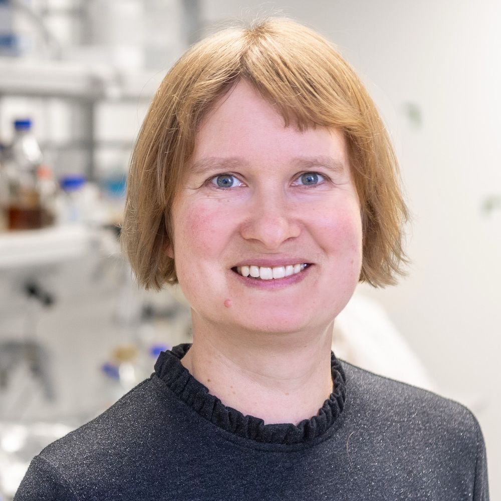 Henrike Niederholtmeyer