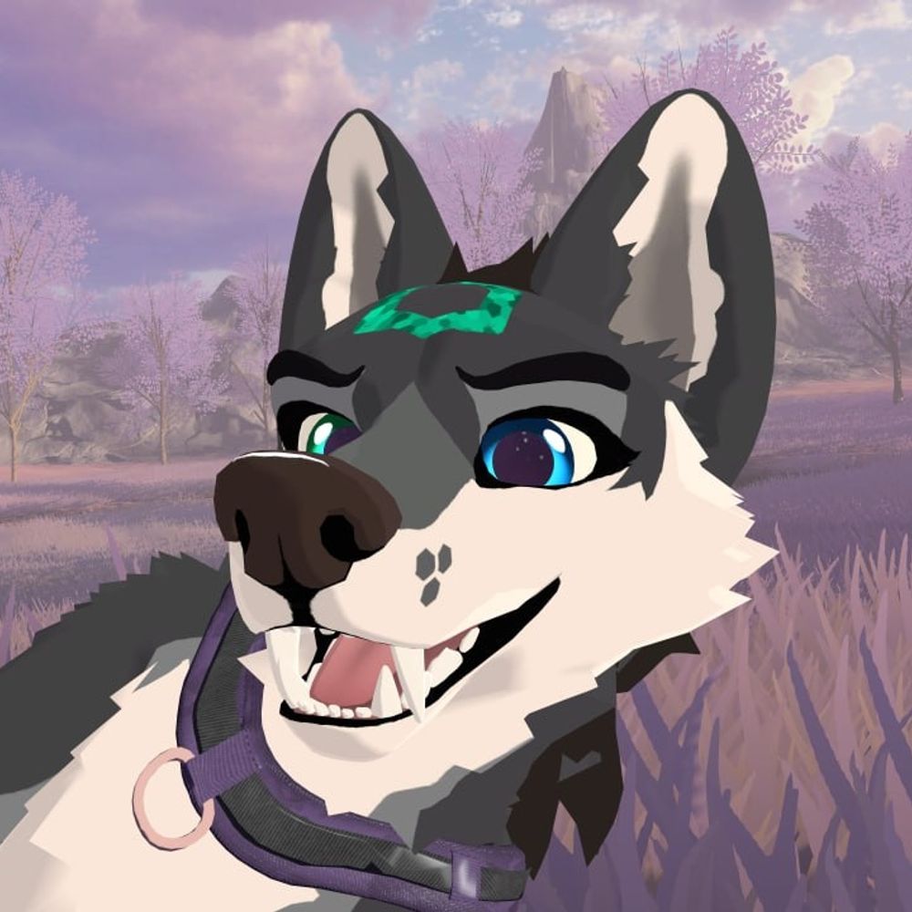 Hex Husky