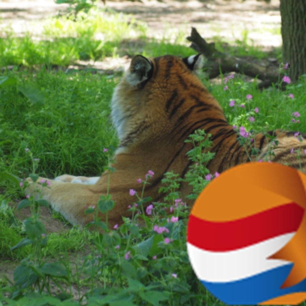 vertanl