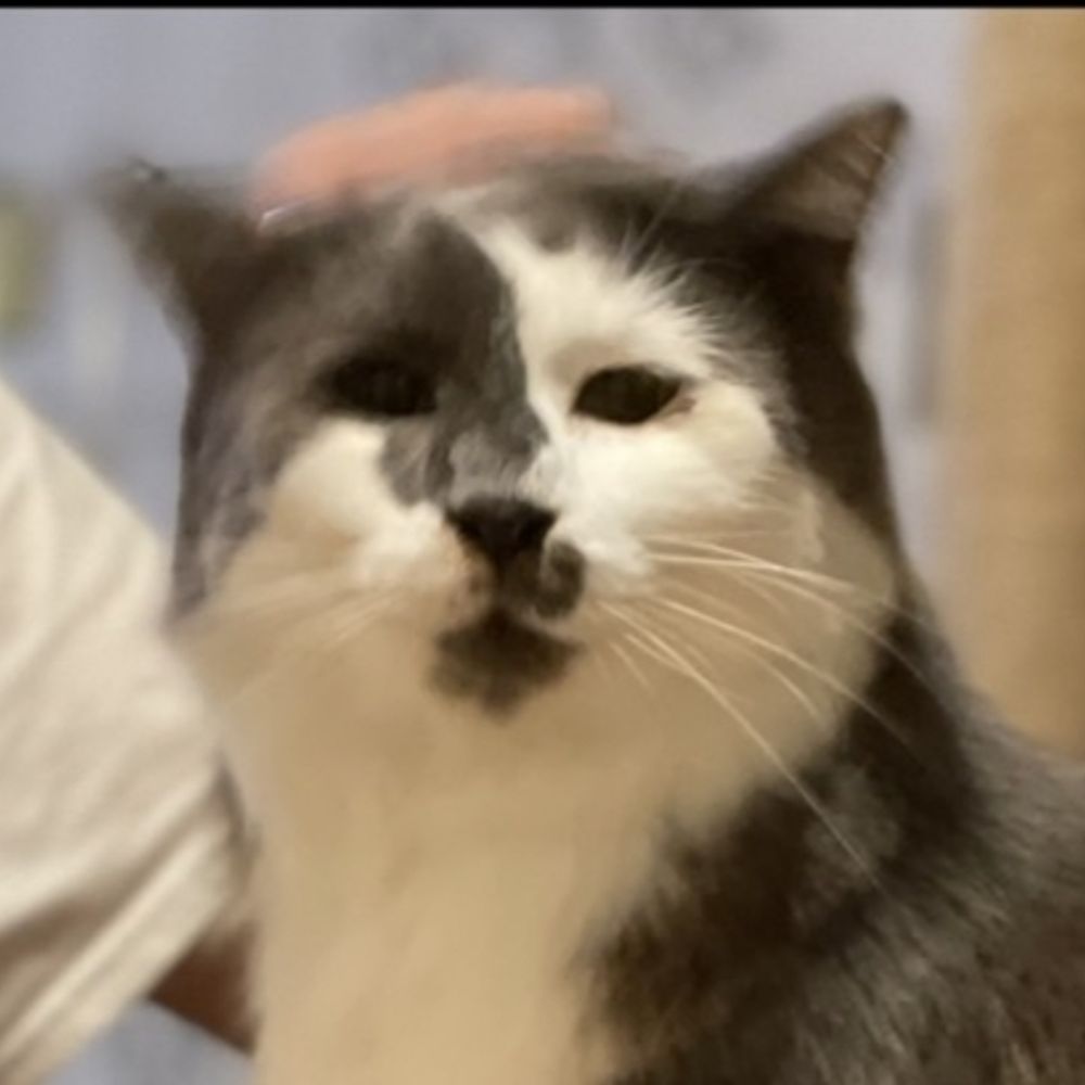 おいンゴ