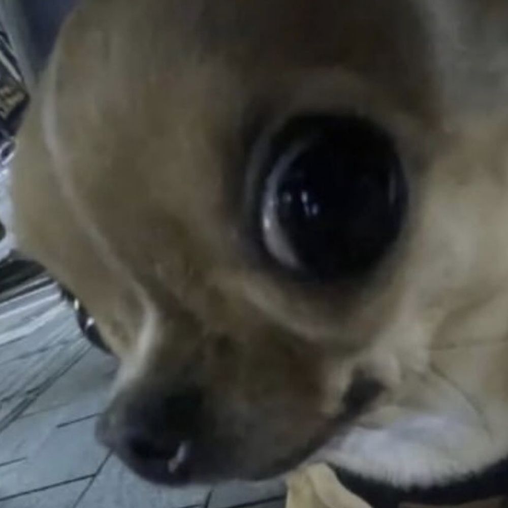 Soy Giovana gi