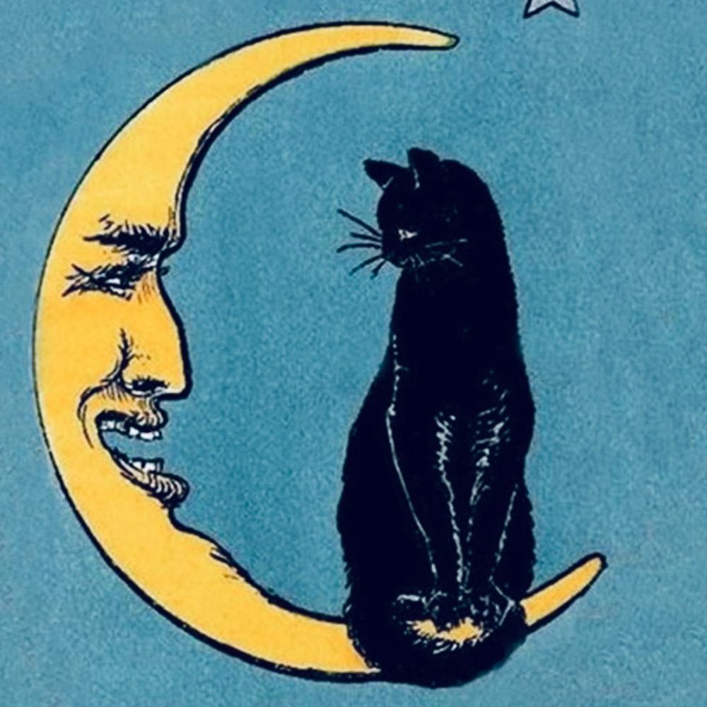 🌜TRASH BOAT 🐈‍⬛